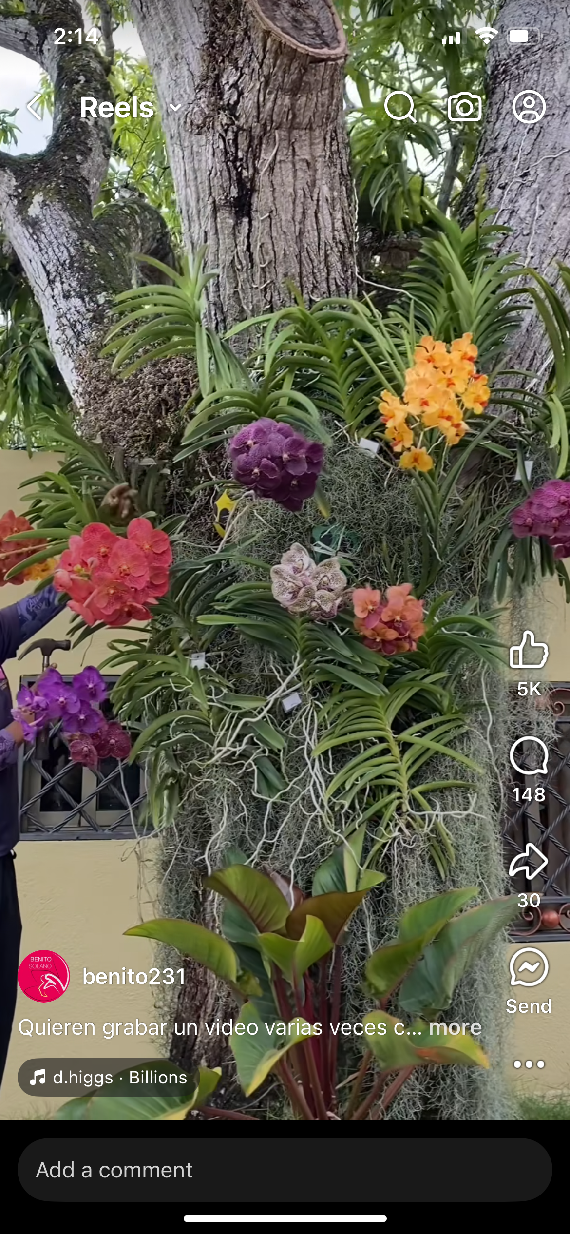 Beautiful plant cared for by Northbay Plant Sitter